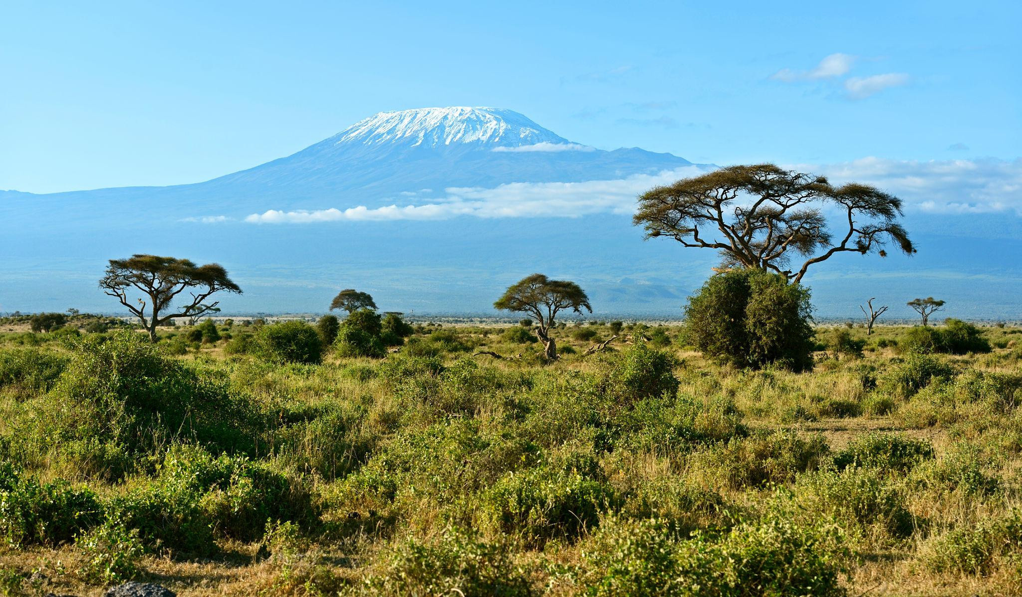 Kimana