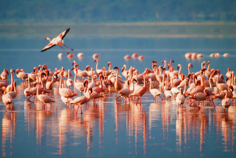 Lake Manyara