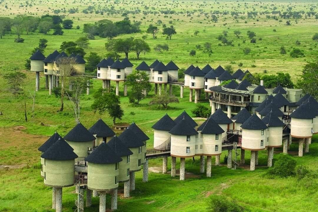 Tsavo East