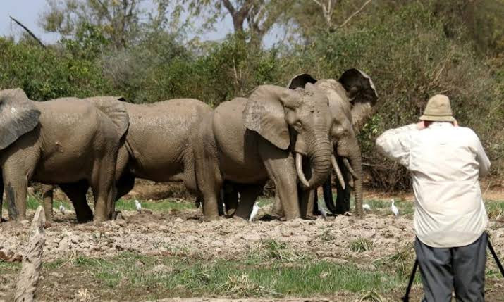 Gateway East Africa — Experiential Training Program, Tanzania