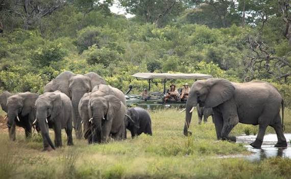 Gateway East Africa — Experiential Training Program, Tanzania