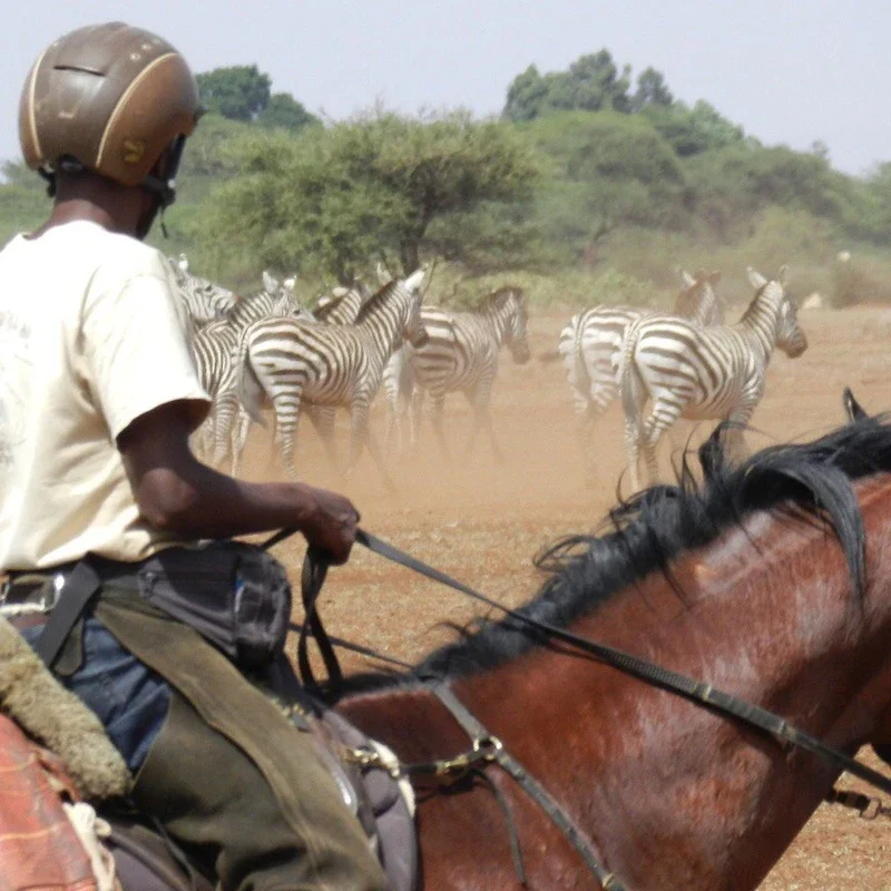Horseback conservation experience