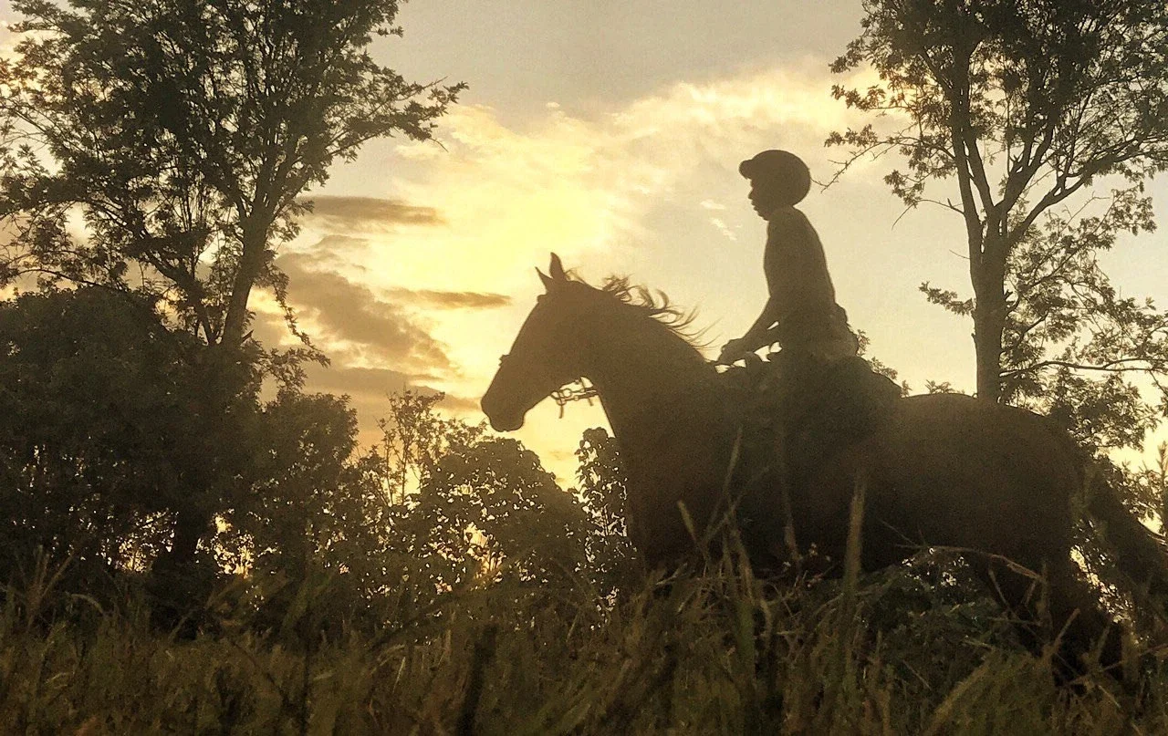 Horseback conservation experience