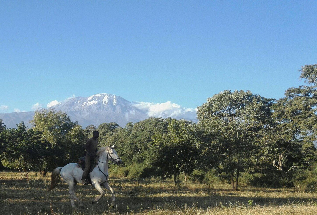 Horseback conservation experience